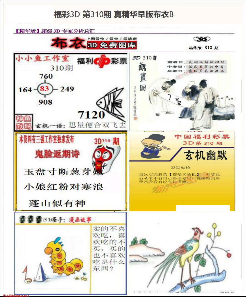 真精华早版布衣B