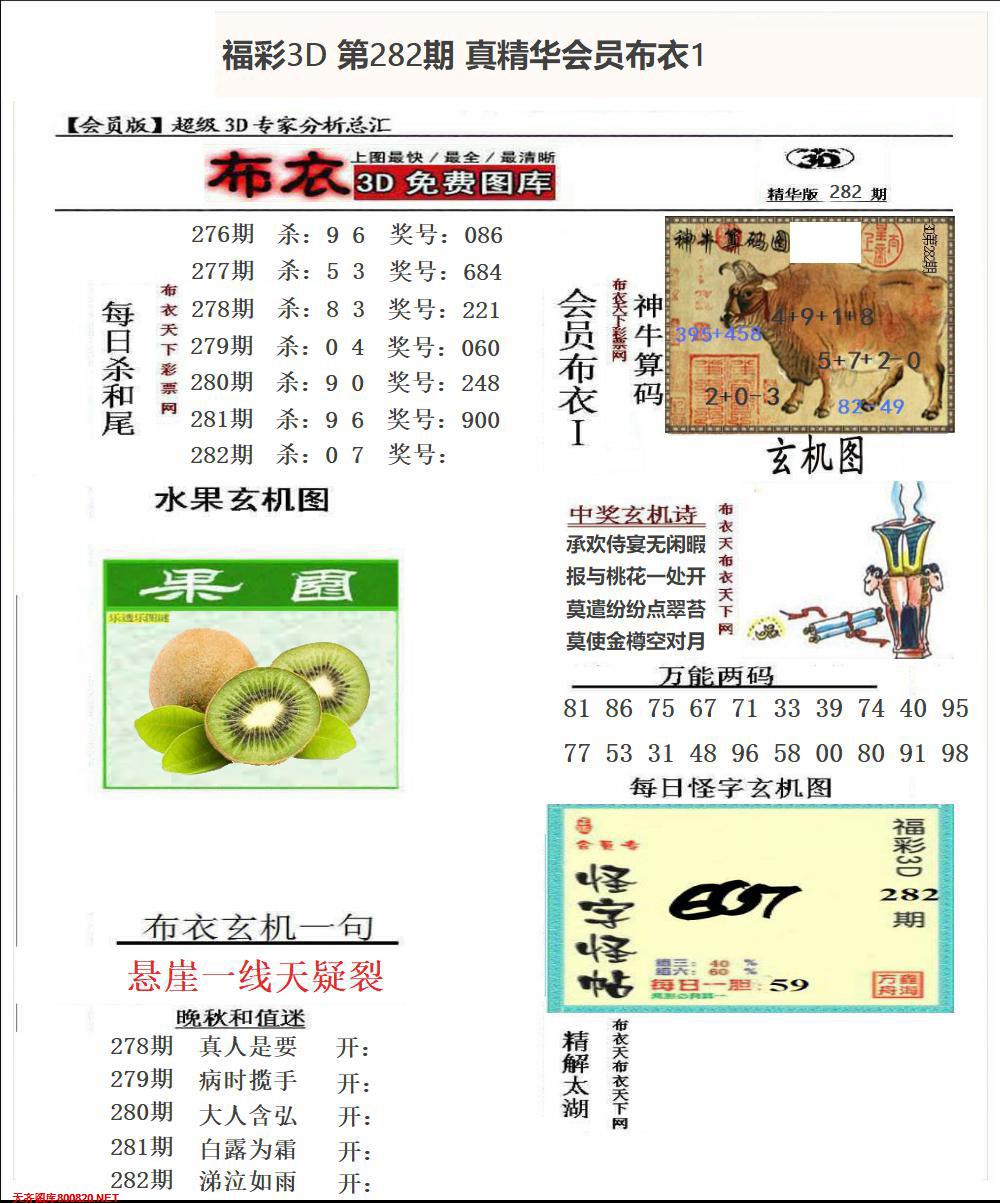 真精华会员布衣1