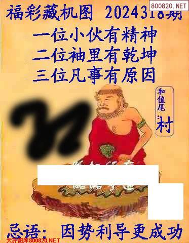 乐彩3D藏机图