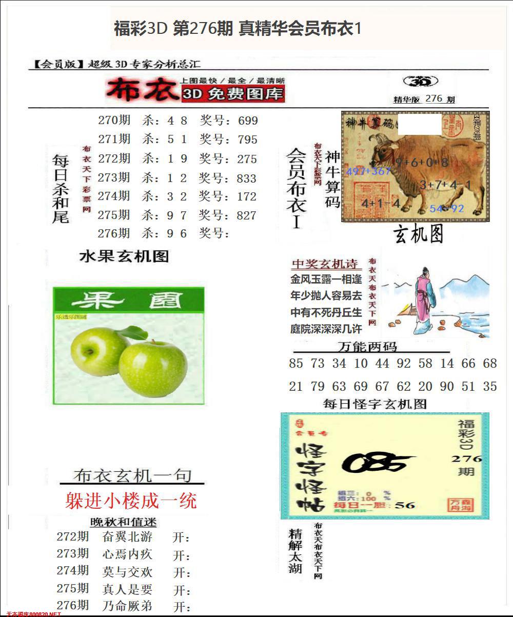 真精华会员布衣1