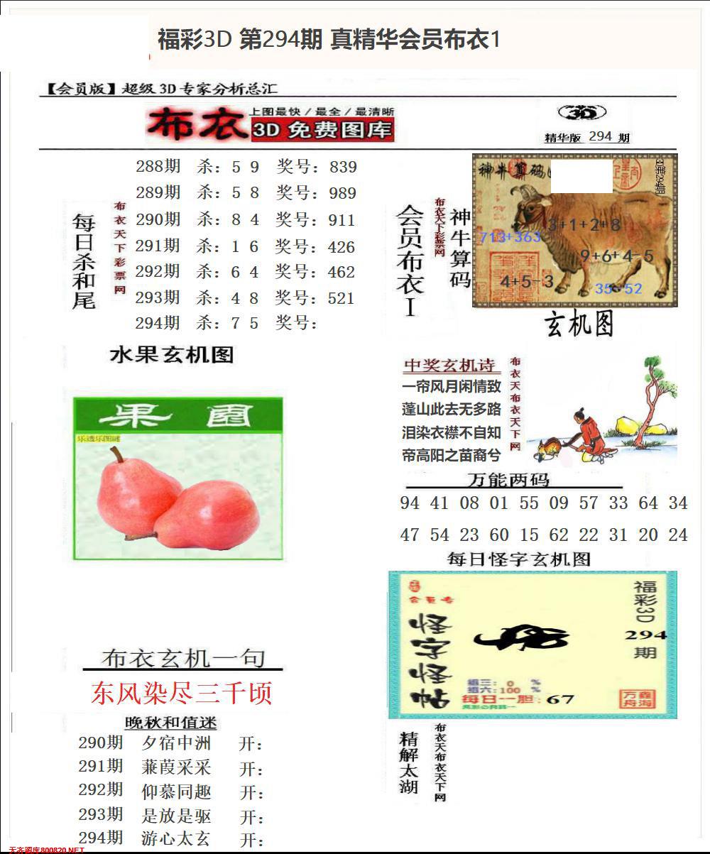 真精华会员布衣1