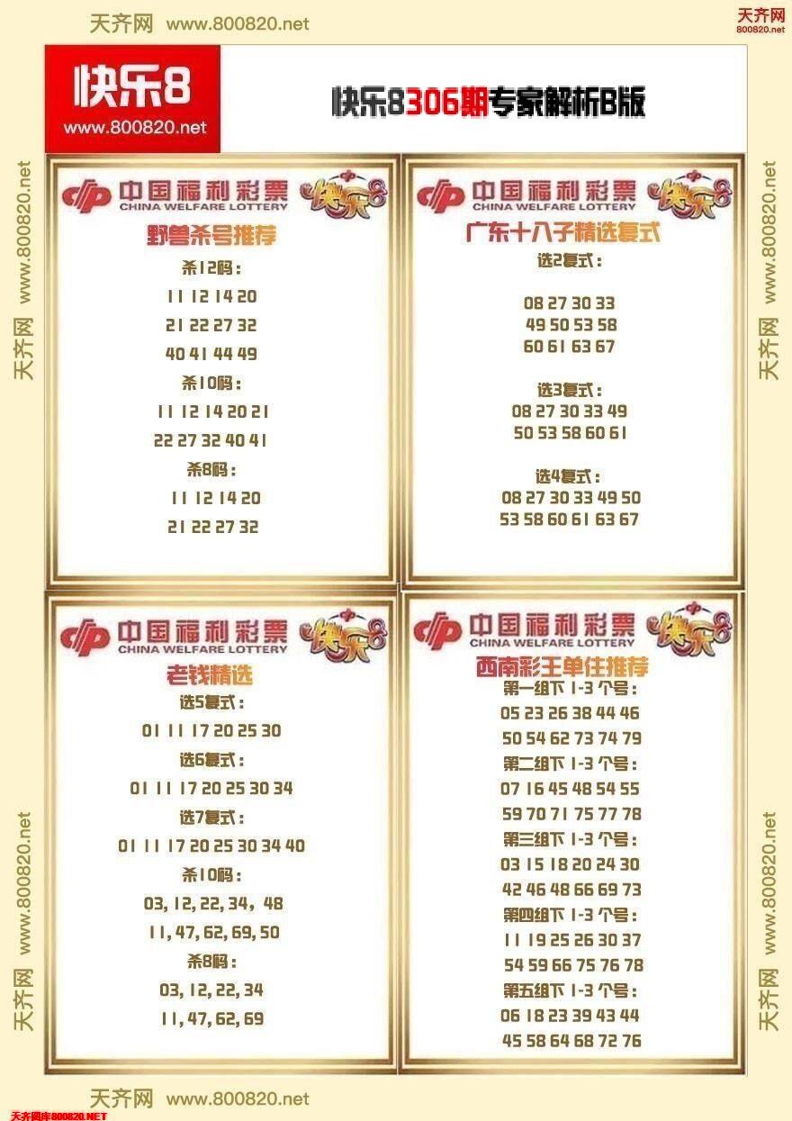 快乐8专家解析B版