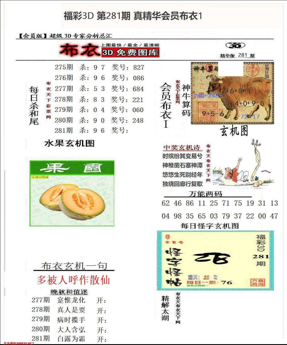 真精华会员布衣1