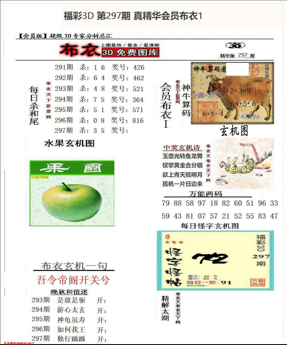 真精华会员布衣1