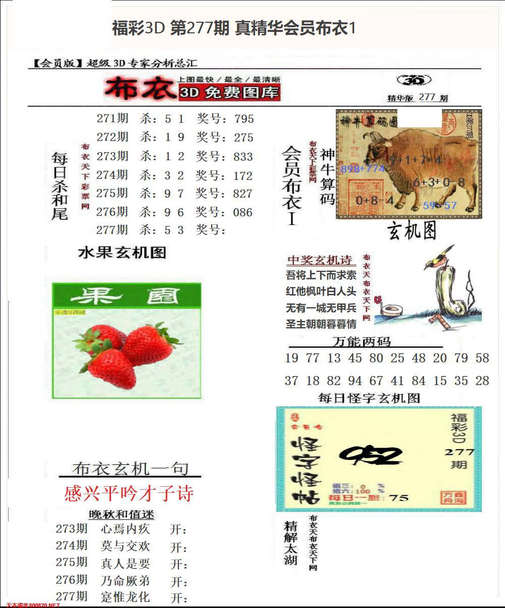 真精华会员布衣1