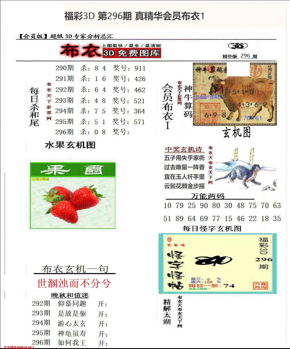 真精华会员布衣1