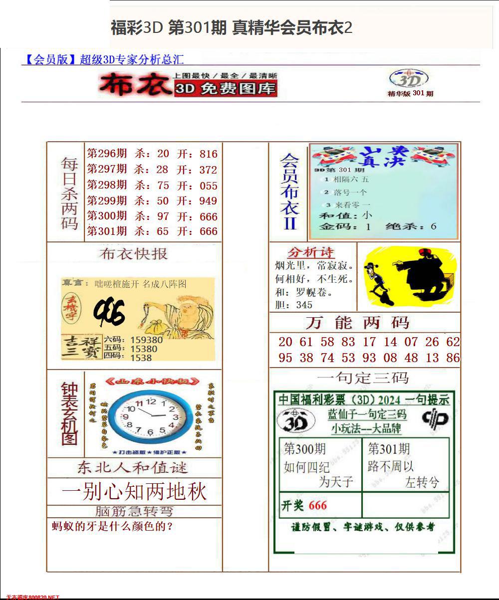 真精华会员布衣2