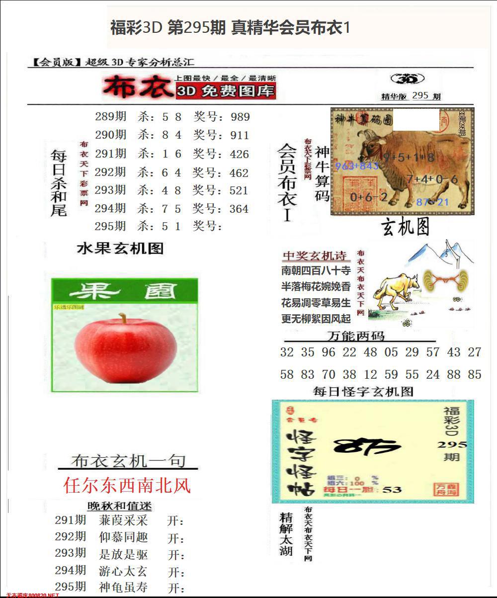 真精华会员布衣1