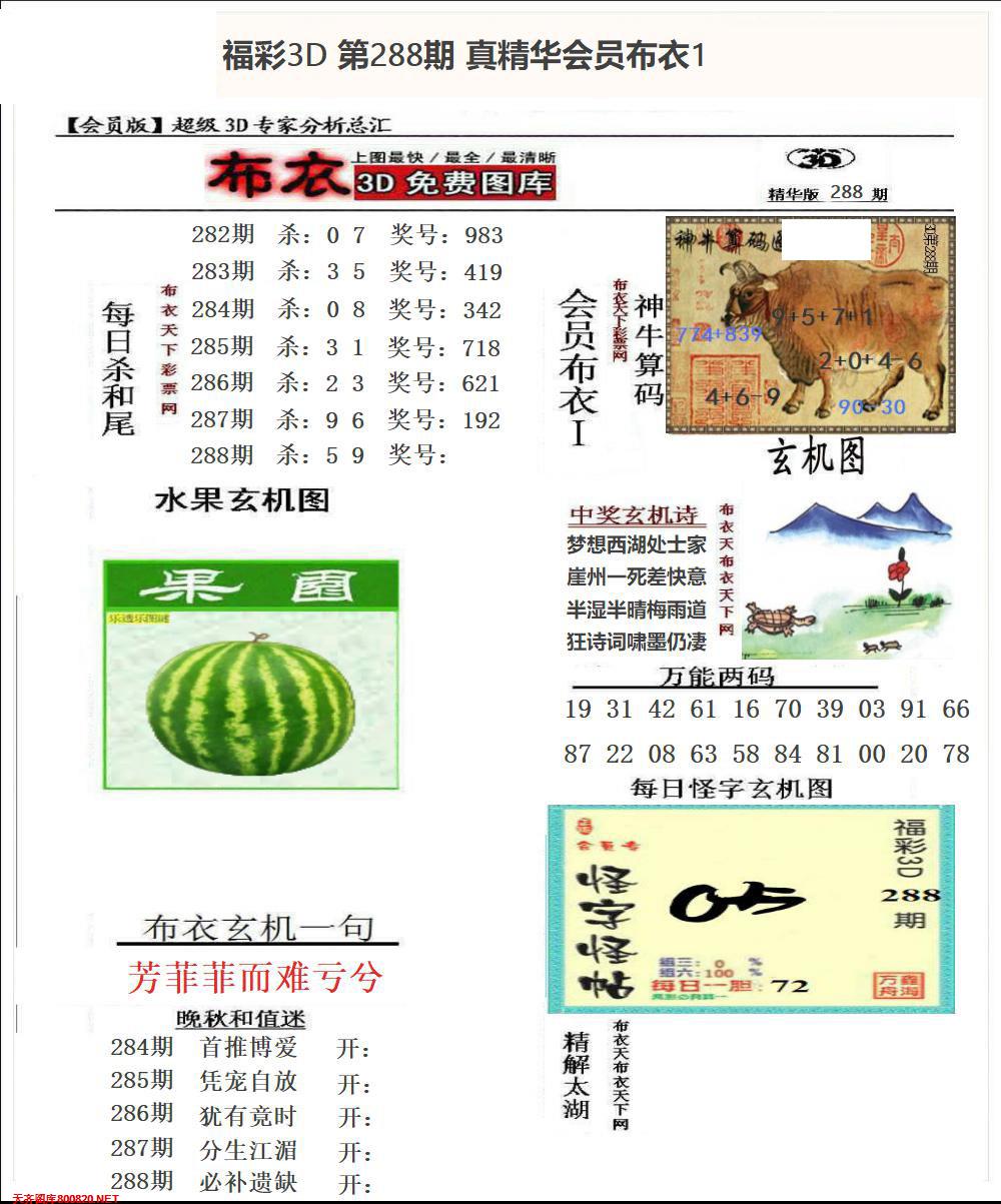 真精华会员布衣1