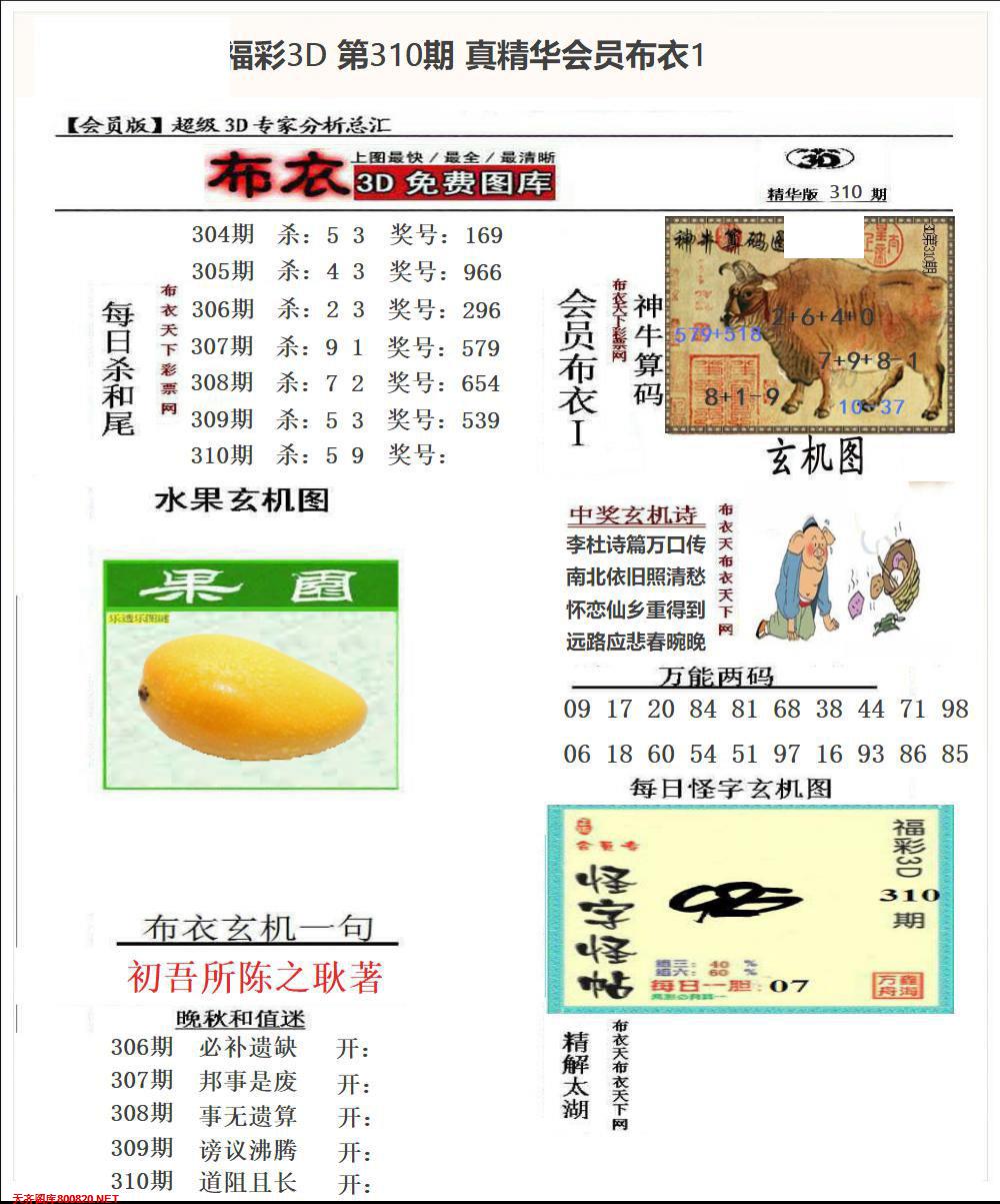 真精华会员布衣1