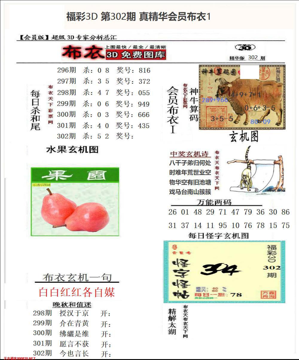 真精华会员布衣1