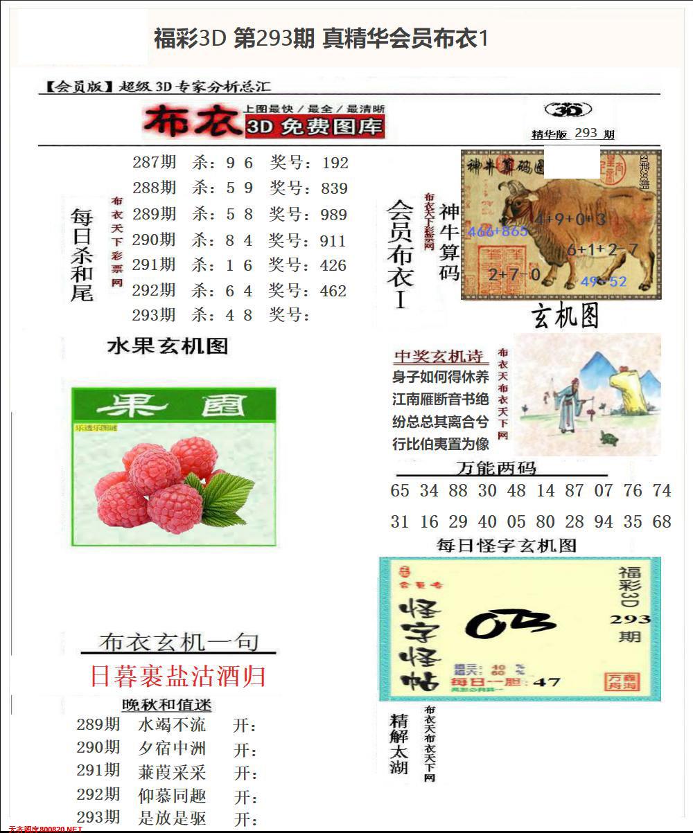 真精华会员布衣1