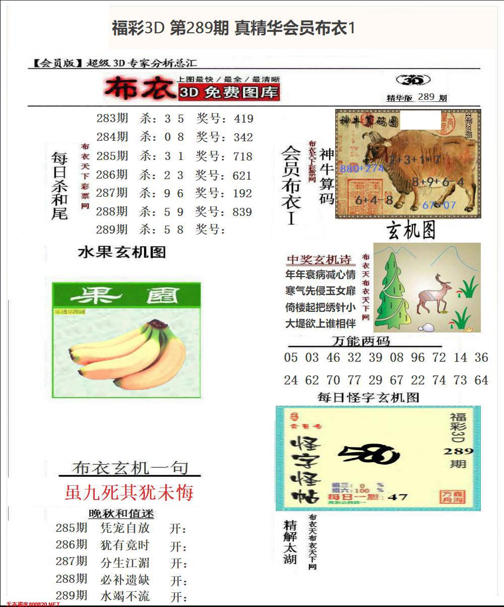 真精华会员布衣1