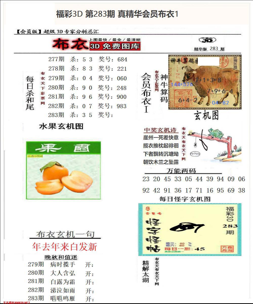 真精华会员布衣1